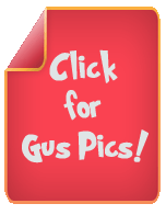 Click for Gus Pics